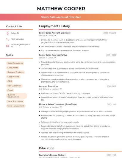 Senior Sales Account Executive Resume
