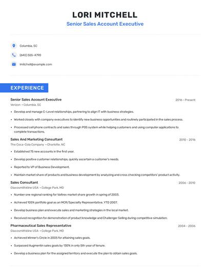 Senior Sales Account Executive Resume