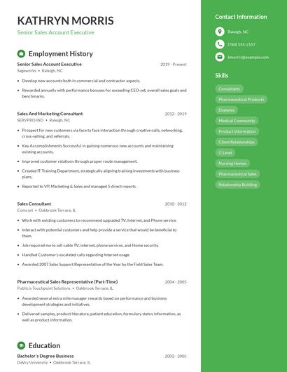 Senior Sales Account Executive Resume