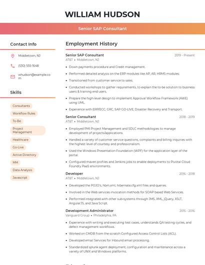 Resume example 3