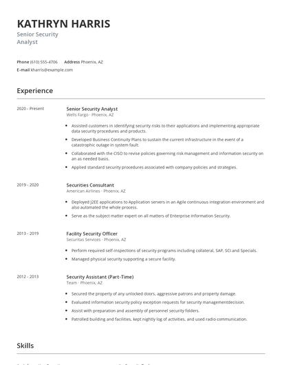 Senior Security Analyst Resume