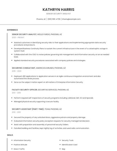Senior Security Analyst Resume