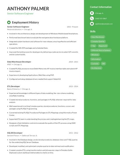 Resume example 5
