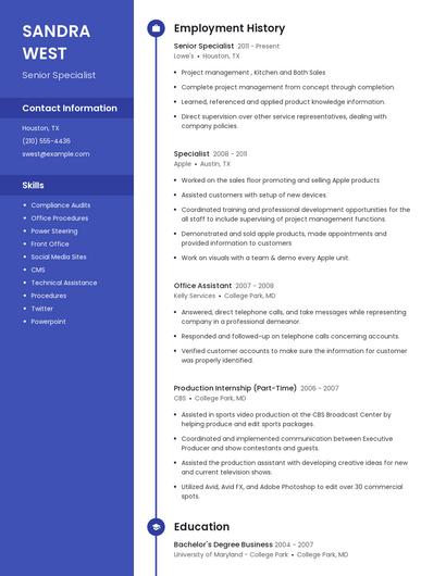 Resume example 5