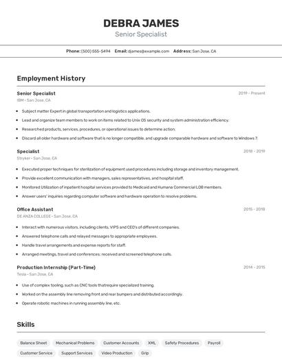 Resume example 2