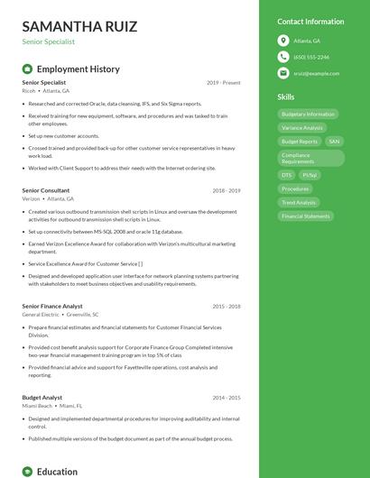 Resume example 4