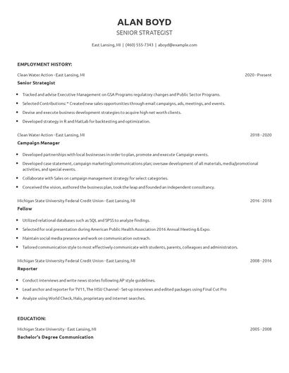 Senior Strategist Resume