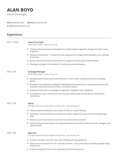 Senior Strategist Resume