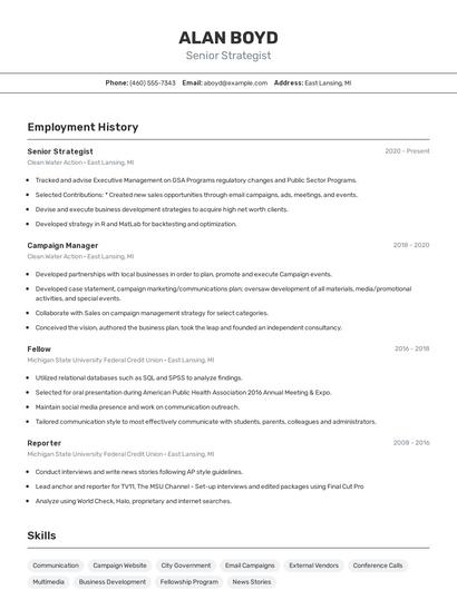 Senior Strategist Resume