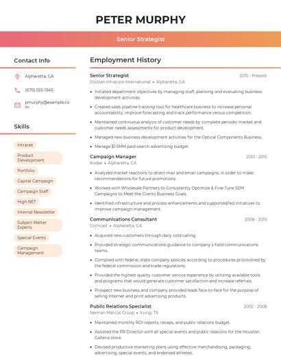 Senior Strategist Resume