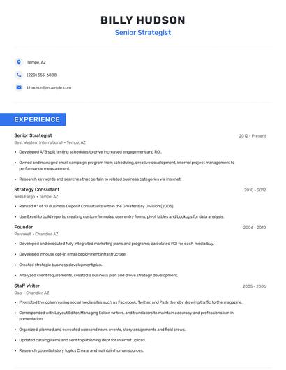Senior Strategist Resume