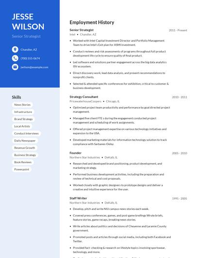 Senior Strategist Resume