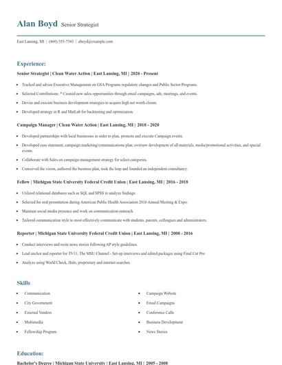 Senior Strategist Resume