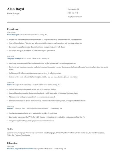 Senior Strategist Resume