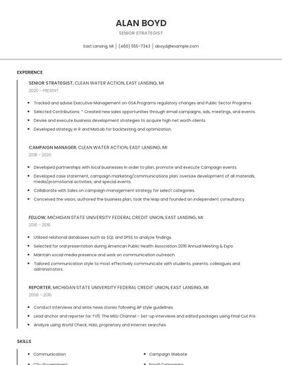 Senior Strategist Resume