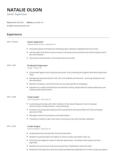 Senior Supervisor Resume
