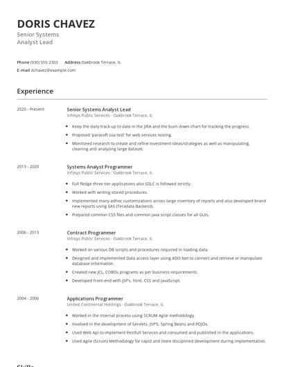 Senior Systems Analyst Lead Resume