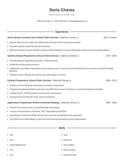 Senior Systems Analyst Lead Resume