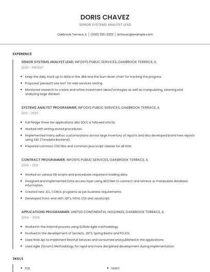 Senior Systems Analyst Lead Resume