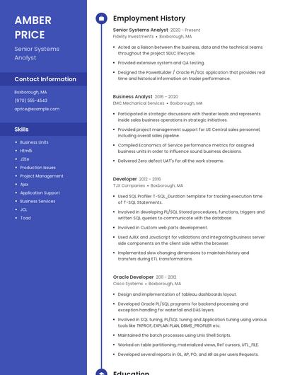 Resume example 4
