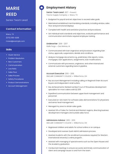 Senior Team Lead Resume