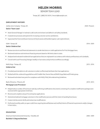 Senior Team Lead Resume