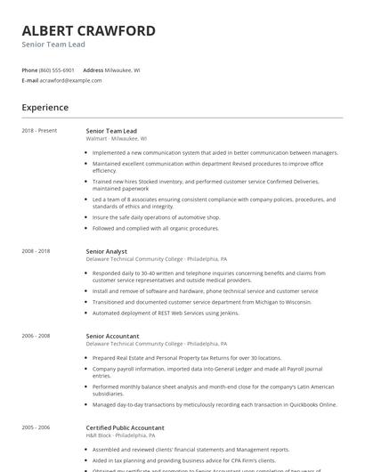Senior Team Lead Resume