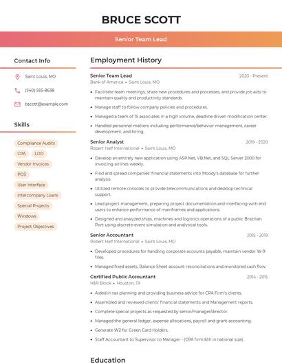 Senior Team Lead Resume