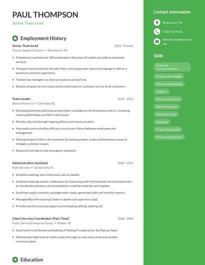 Senior Team Lead Resume