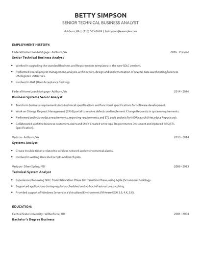 Senior Technical Business Analyst Resume