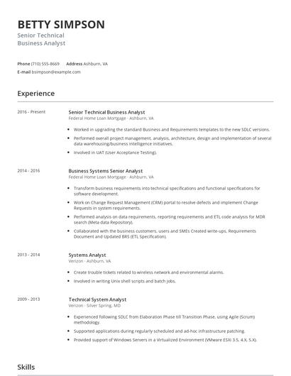Senior Technical Business Analyst Resume