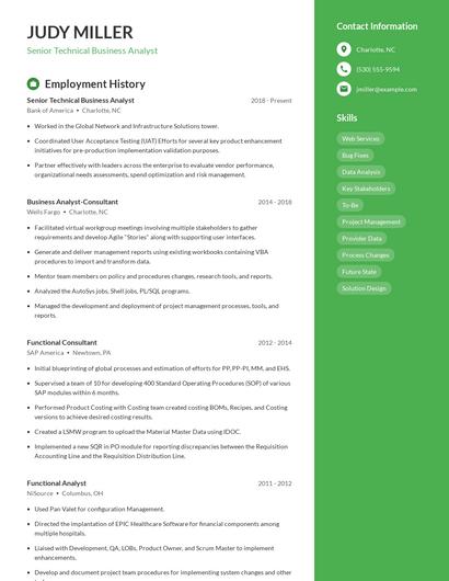 Senior Technical Business Analyst Resume