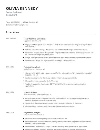 Senior Technical Consultant Resume
