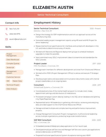Senior Technical Consultant Resume