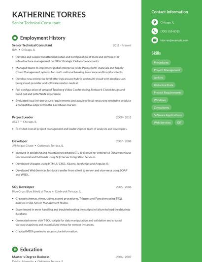 Resume example 5