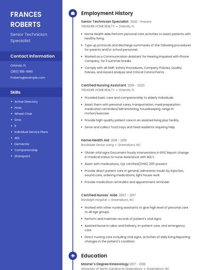 Senior Technician Specialist Resume