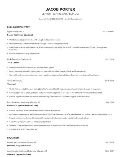 Senior Technician Specialist Resume