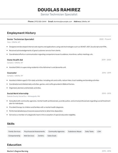 Senior Technician Specialist Resume