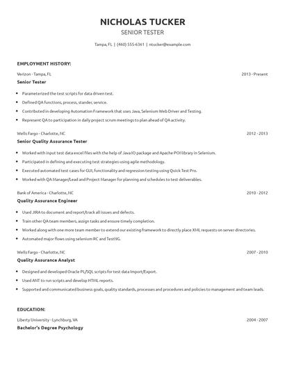 Senior Tester Resume
