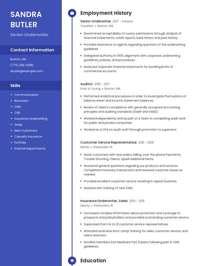 Resume example 4