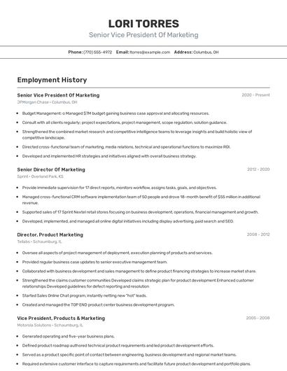 Resume example 2