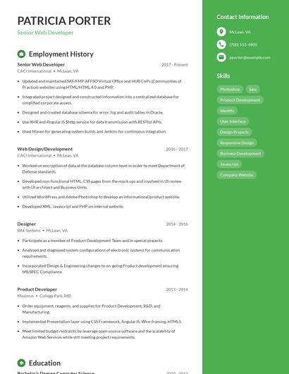 Resume example 5