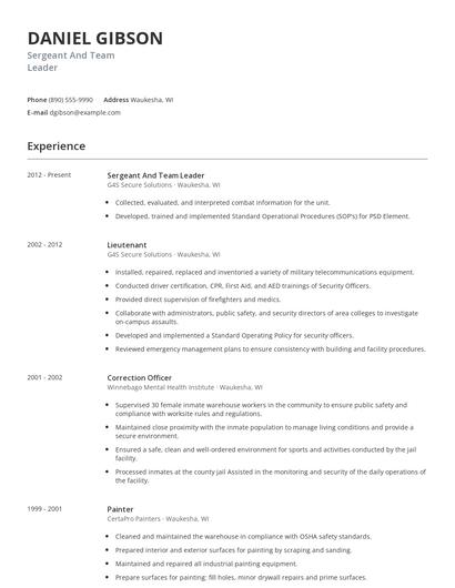 Sergeant And Team Leader Resume