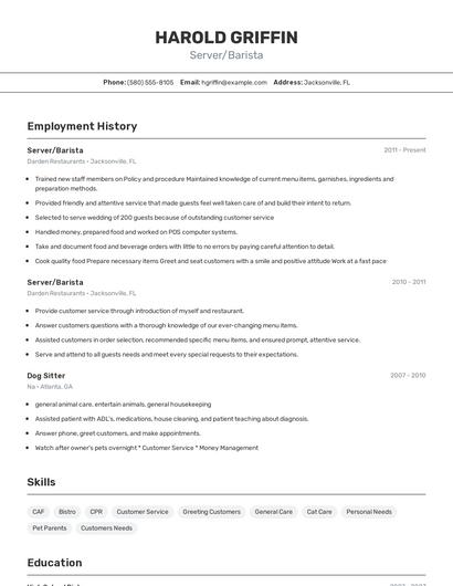 Resume example 2