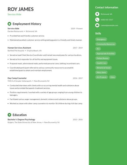 Resume example 5