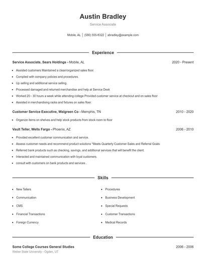 Resume example 1