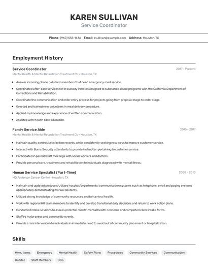 Resume example 2