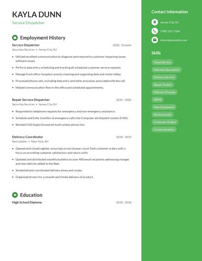 Resume example 4