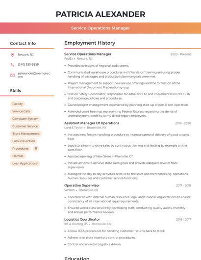 Resume example 3
