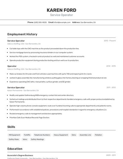 Resume example 2